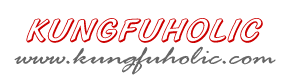 kungfuholic website logo